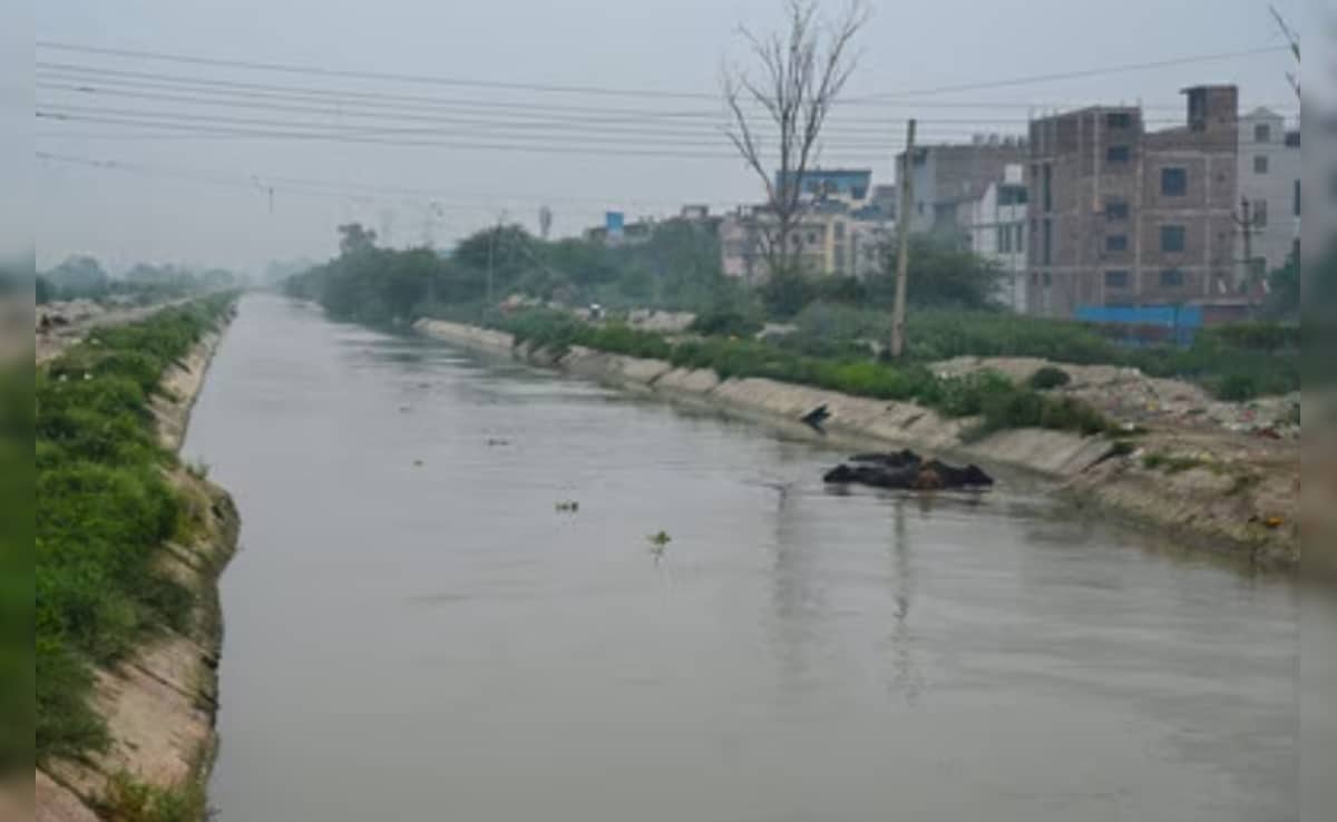 धड़ से सिर अलग, हाथ-पैर भी गायब... दिल्ली के रोहिणी इलाके में युवक का शव मिलने से सनसनी