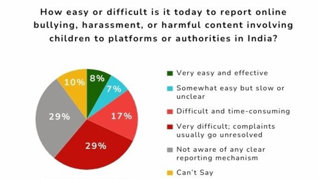 Safer Internet Survey