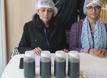 McDonald's Reacts To Jaipur Outlet Using 'Black Oil', Rotten Tomatoes