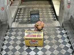 अजमेर के पुष्कर में मंदिरों के बाद अब सरोवर घाटों के दानपात्र बने निशाना,&nbsp;सीसीटीवी में कैद हुई घटनाएं&nbsp;