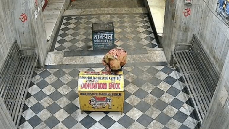 अजमेर के पुष्कर में मंदिरों के बाद अब सरोवर घाटों के दानपात्र बने निशाना,&nbsp;सीसीटीवी में कैद हुई घटनाएं&nbsp;