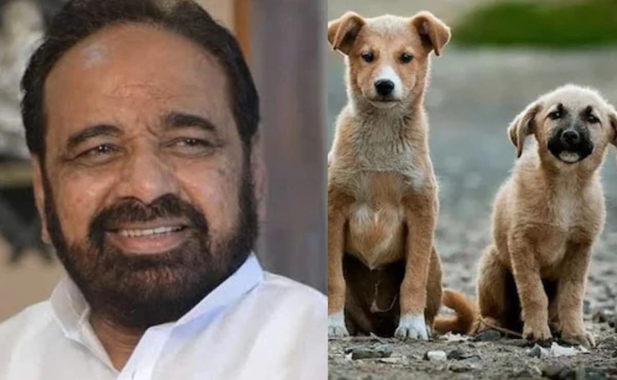 The Art of Baking: From Classic Bread to Artisan Pastries