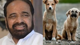 MLA Says Stray Dogs Should Be Wiped Out At Madhya Pradesh Budget Session