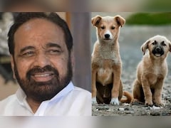 MLA Says Stray Dogs Should Be Wiped Out At Madhya Pradesh Budget Session