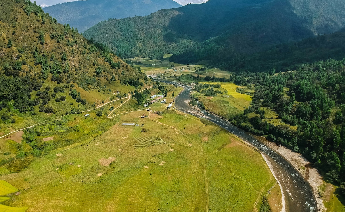 Latest and Breaking News on NDTV