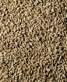 Health Benefits Of Methi Seeds