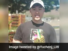 Claude Outage Led To "90% Productivity Drop In Silicon Valley", Says Techie