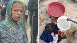 Anganwadi Cook Saves 20 Children From Bee Attack, Gets Stung Repeatedly, Dies