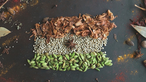 India-EU Spice Trade: AISEF And The European Spice Association Sign MoU To Deepen Cooperation