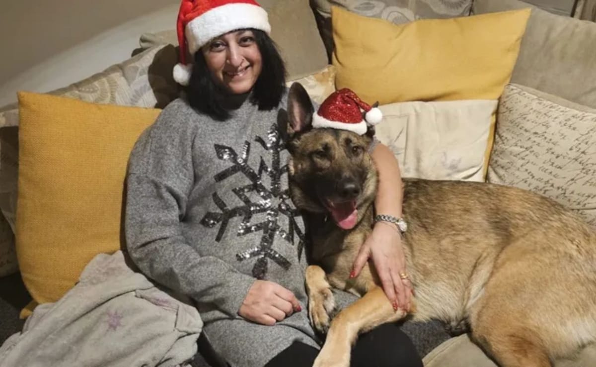 Woman Loses 4 Limbs After A Dog's Lick Causes Sepsis: What You Need To Know  About The Life-Threatening Condition