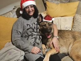 Woman Loses 4 Limbs After A Dog's Lick Causes Sepsis: What You Need To Know About The Life-Threatening Condition