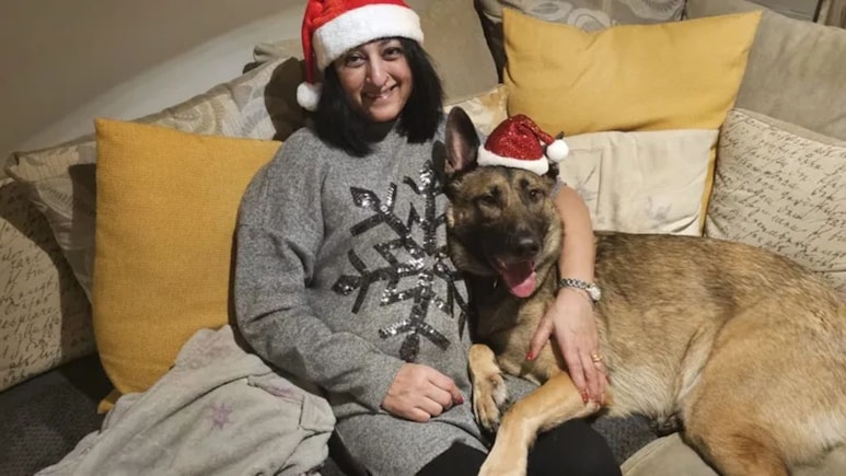 Woman Loses 4 Limbs After A Dog's Lick Causes Sepsis: What You Need To Know About The Life-Threatening Condition