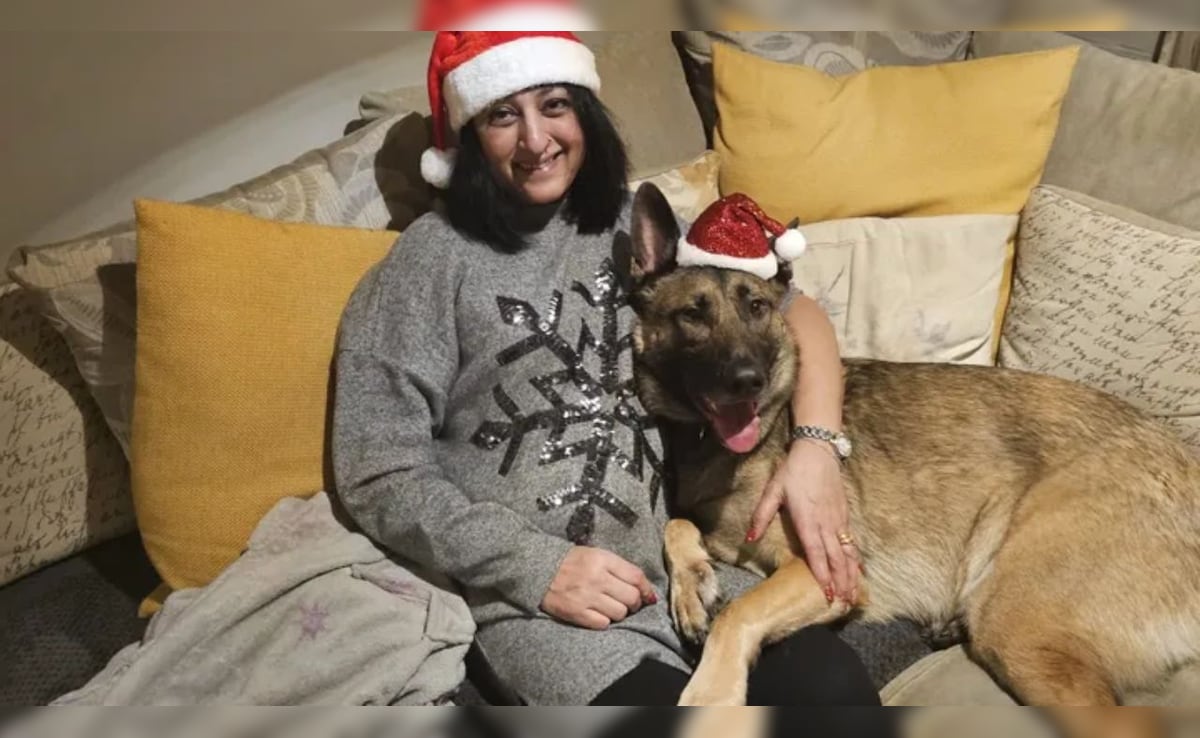 Latest and Breaking News on NDTV