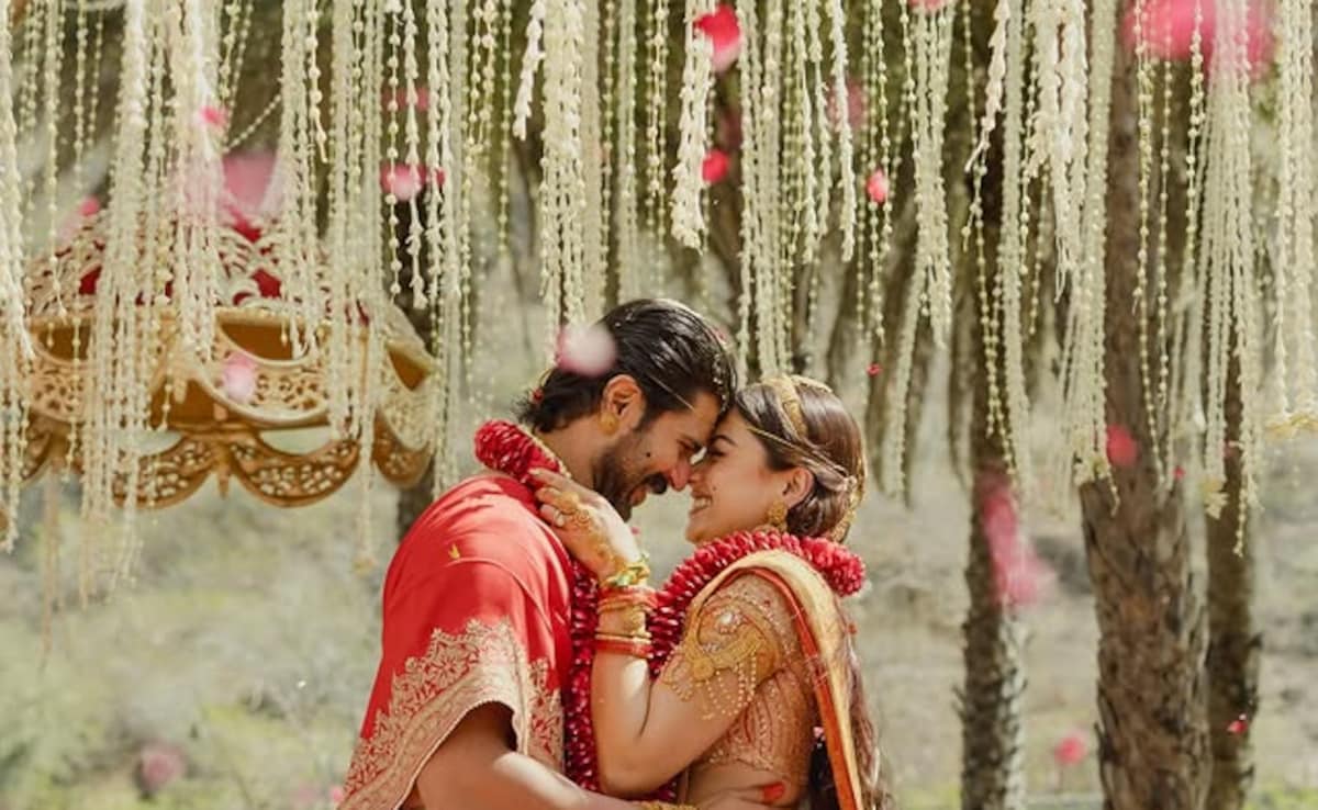 Rashmika Mandanna-Vijay Deverakonda Wedding: Kriti Sanon, Ayushmann Khurrana And Others Shower Love On Newlyweds