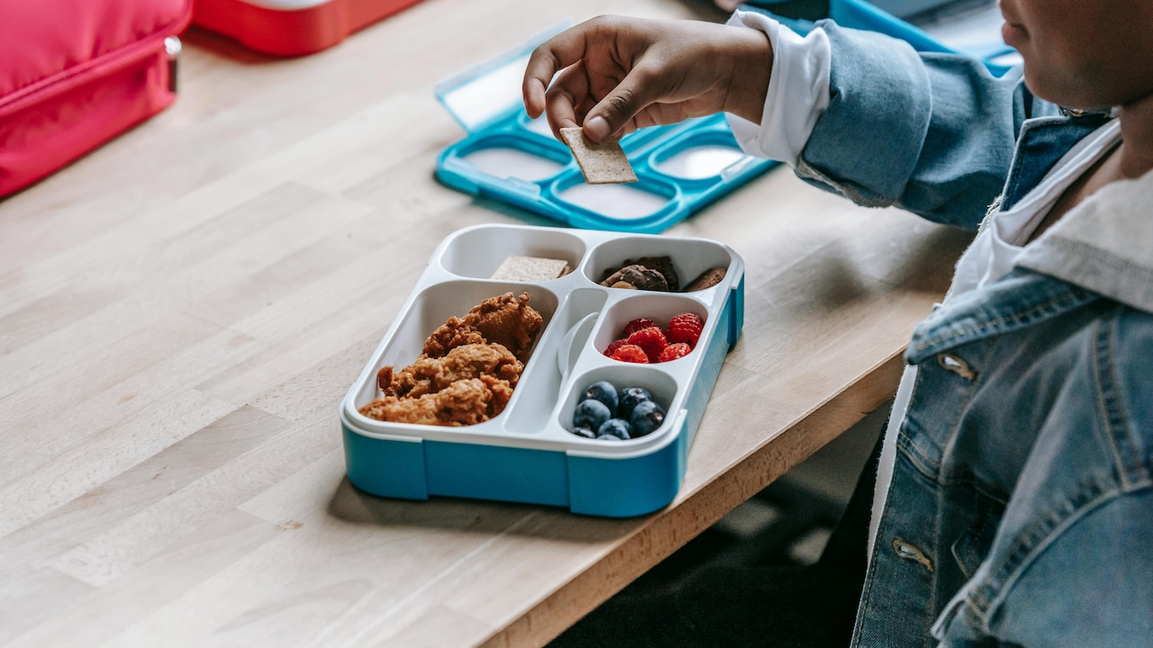 Stainless Steel vs. Plastic: Which Leakproof Lunch Box Is Best for Work?