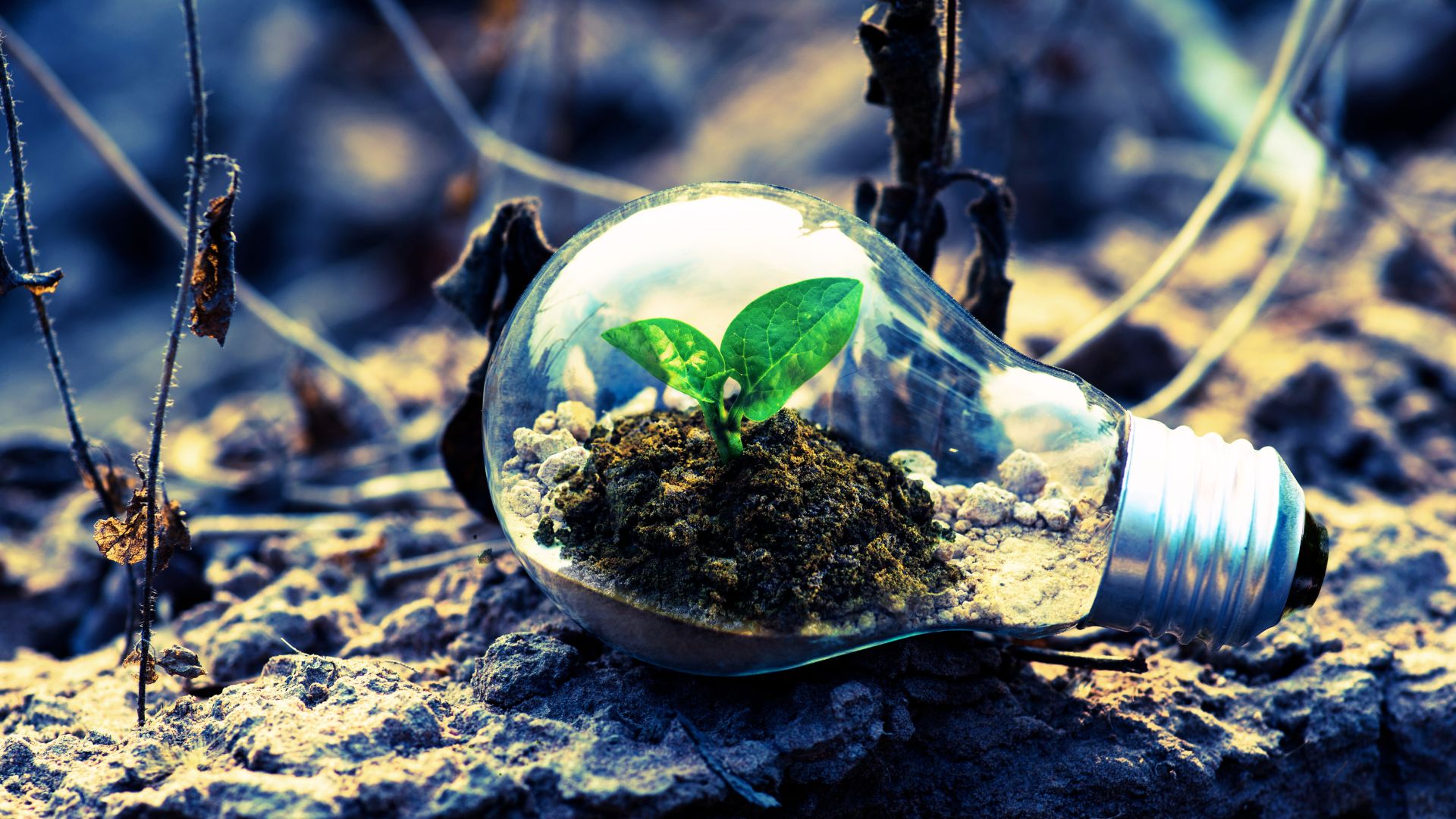 चीन के वैज्ञानिकों ने पेड़-पौधों से सीखकर लैब में बना लिया 'पेट्रोल', जानें कैसे यह खोज दुनिया बदल सकती है