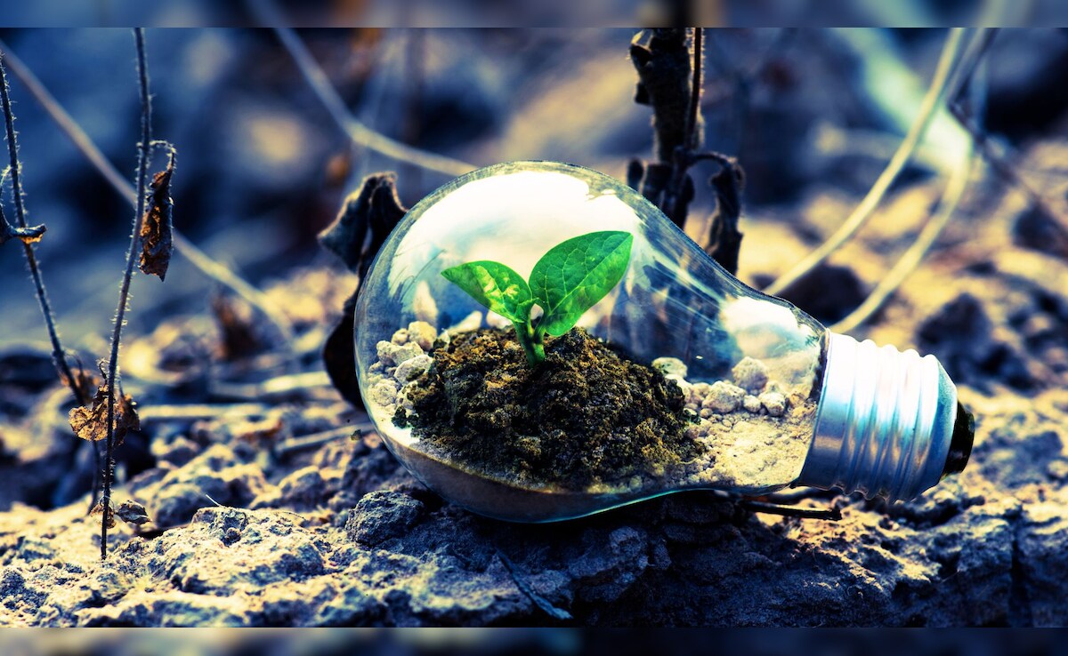 चीन के वैज्ञानिकों ने पेड़-पौधों से सीखकर लैब में बना लिया 'पेट्रोल', जानें कैसे यह खोज दुनिया बदल सकती है