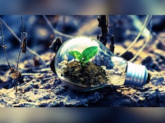 चीन के वैज्ञानिकों ने पेड़-पौधों से सीखकर लैब में बना लिया 'पेट्रोल', जानें कैसे यह खोज दुनिया बदल सकती है