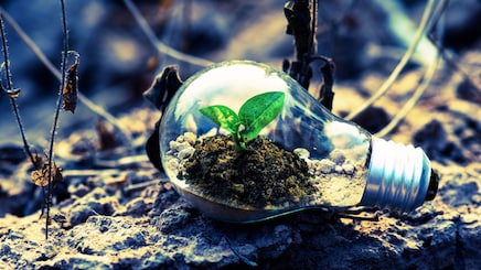 चीन के वैज्ञानिकों ने पेड़-पौधों से सीखकर लैब में बना लिया 'पेट्रोल', जानें कैसे यह खोज दुनिया बदल सकती है