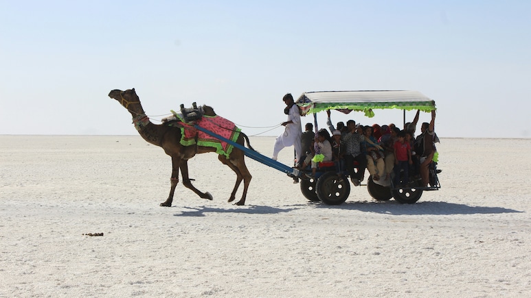 Gujarat Emerges As India's 3rd Most Visited State By Foreign Tourists In 2024