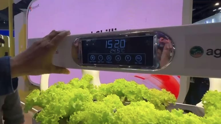 न खाद डालने का झंझट न पसीना बहाने की जरूरत&hellip;फ्लैट की बॉलकनी में करें AI के जरिए ऑटोमेटिक खेती, जानिए कीमत