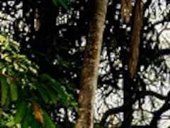 Black Dog Soda's 'Savour The Pause' Philosophy At Kala Ghoda Arts Festival