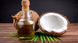 Centre To Support Coconut, Cashew, Other High-Value Crops: Nirmala Sitharaman