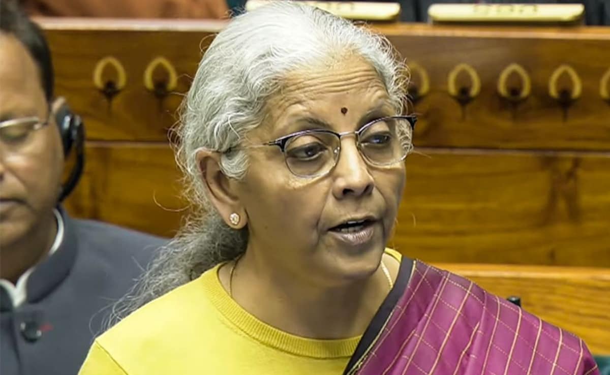 "Fundamentals Of Economy Strong": N Sitharaman On Rahul Gandhi's Budget Remark