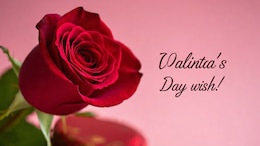 Valentine Day Wishes: वैलेंटाइन डे पर अपने प्यार-पार्टनर और चाहने वालों को करें खास अंदाज में विश