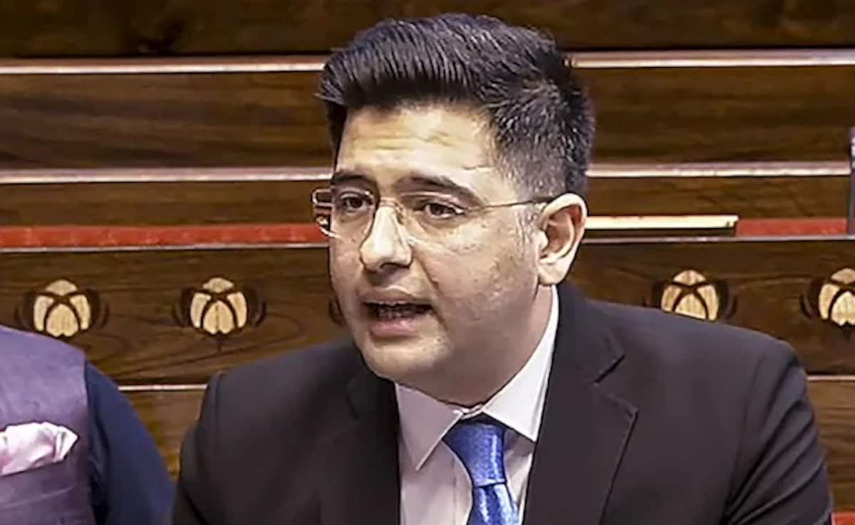 नौकरी और बच्चे में से एक क्यों चुनना पड़े? राघव चड्ढा ने उठाया पितृत्व अवकाश का मुद्दा, देश में क्या नियम