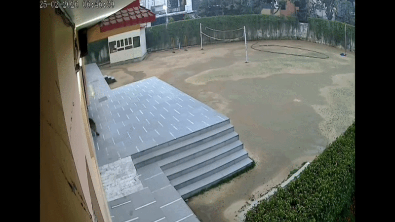 VIDEO: गाजियाबाद के स्कूल में घुसा तेंदुआ, पुलिस का सर्च ऑपरेशन शुरू, खाली कराया कैम्पस