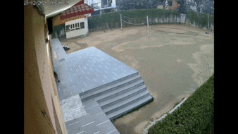 गाजियाबाद के स्कूल में घुसा तेंदुआ, हड़कंप मचा, बच्चों को भेजा घर, सर्च ऑपरेशन जारी