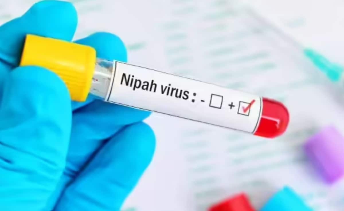 Kerala Issues Nipah Virus Alert From April To September 2026 Based On Previous Outbreak Patterns