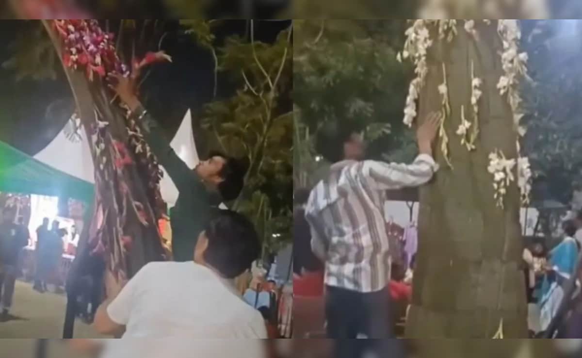 तहजीब छुट्टी पर थी क्या? नोएडा पार्क का मंजर देख सोशल मीडिया पर मचा बवाल