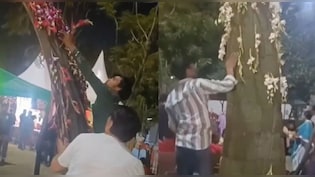 तहजीब छुट्टी पर थी क्या? नोएडा पार्क का मंजर देख सोशल मीडिया पर मचा बवाल