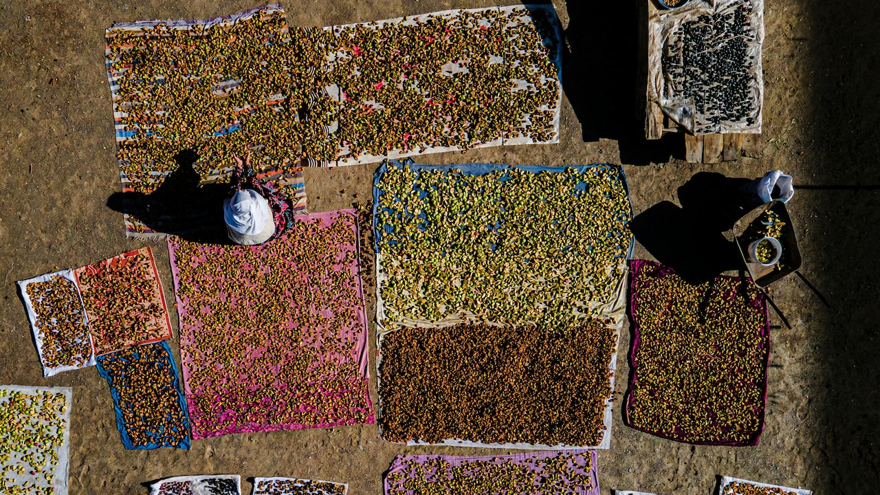 5 Dry Fruits That Work For 4 PM Hunger Without Overeating 5 Dry Fruits That Work For 4 PM Hunger Without Overeating