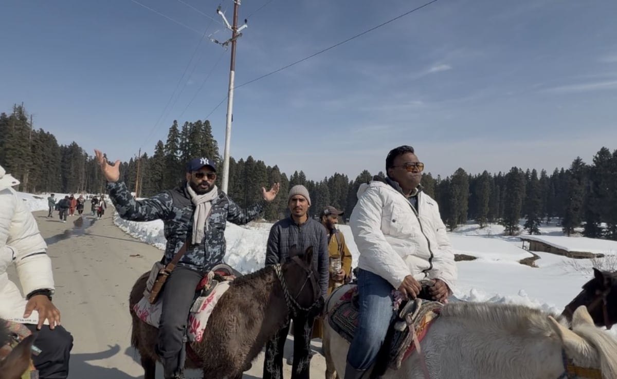 J&K's Doodhpathri Reopens For Tourists, Livelihood Restored After 10 Months