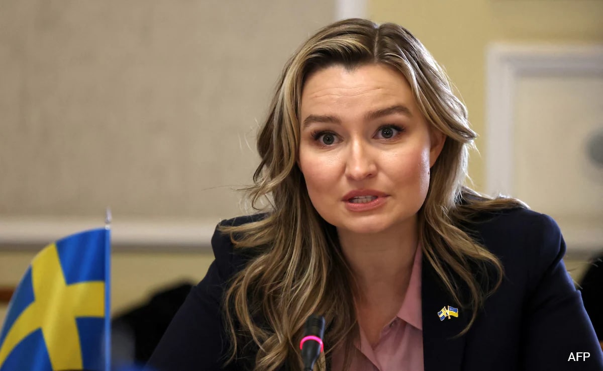 "PM Modi Serving Greater Good": Sweden's Deputy PM On India's AI Push