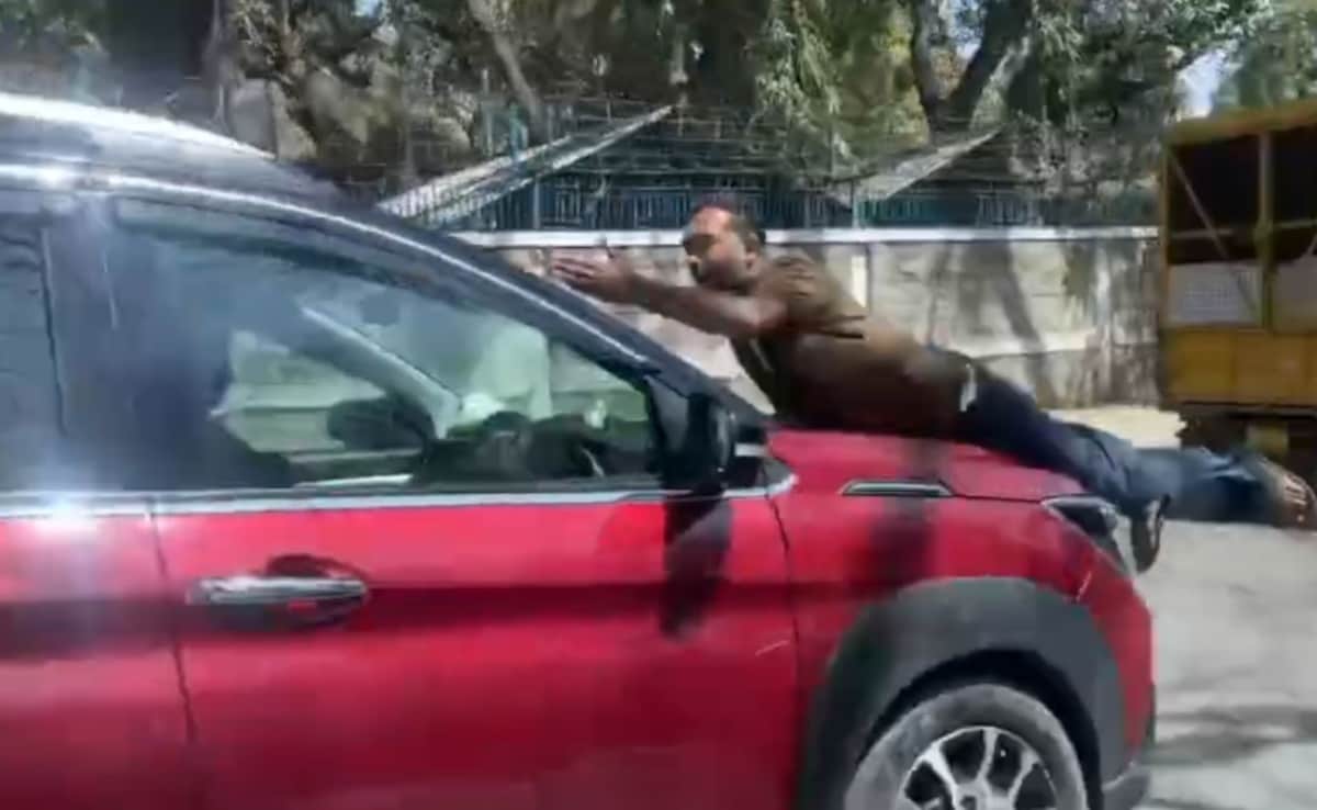 The Art of Baking: From Classic Bread to Artisan Pastries