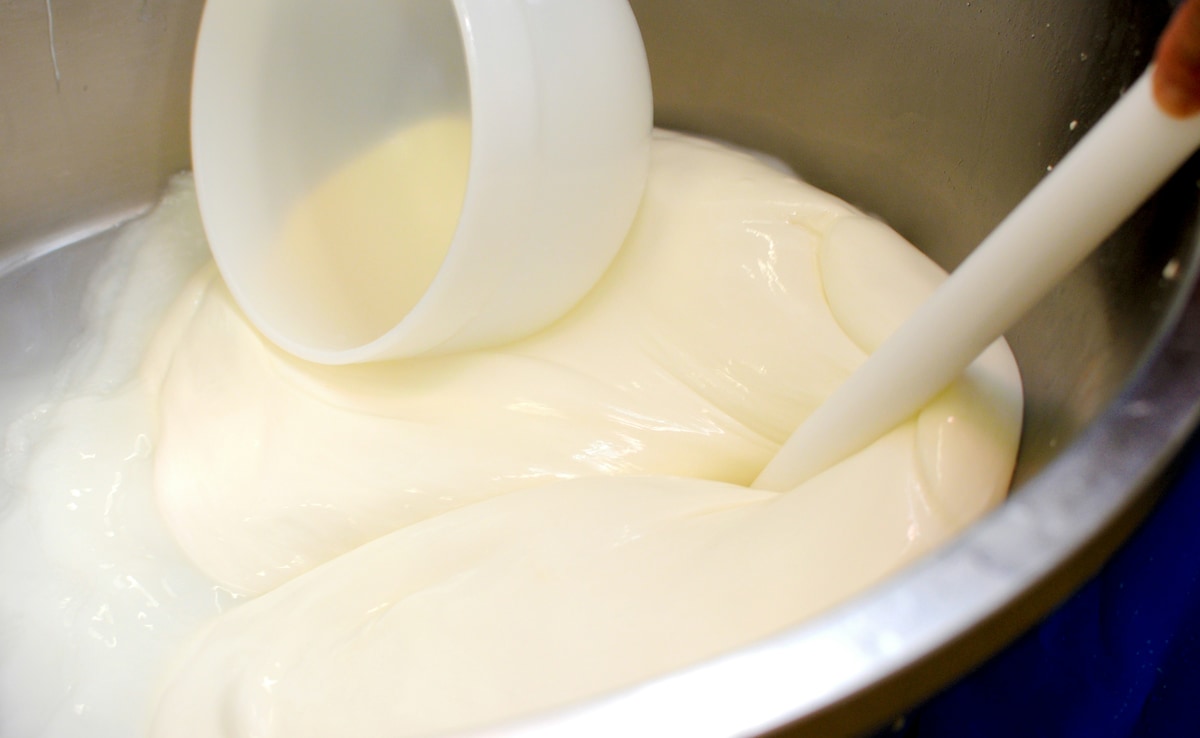 2 मिनट में बनाएं बिना अंडे वाली क्रीमी मेयोनीज शेफ कुणाल ने शेयर की है सुपरफास्ट रेसिपी