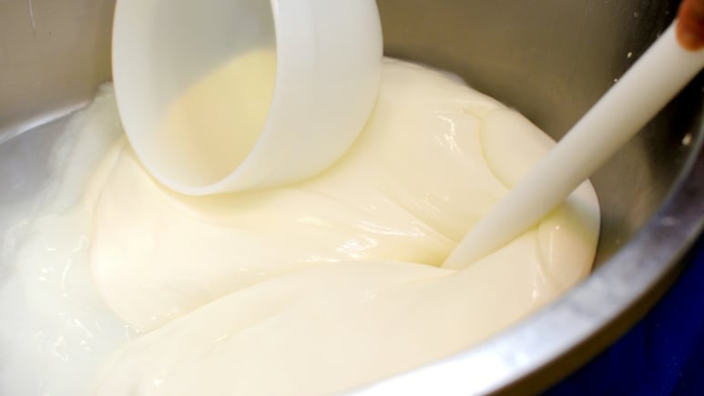 2 मिनट में बनाएं बिना अंडे वाली क्रीमी मेयोनीज शेफ कुणाल ने शेयर की है सुपरफास्ट रेसिपी