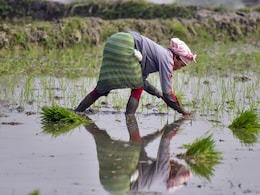 Budget 2026: पीएम किसान सम्मान निधि की राशि बजट में बढ़ाएगी सरकार!  बजट में किसानों को क्या मिलेगा तोहफा