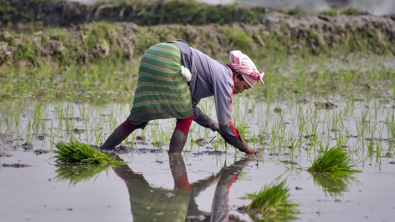 Budget 2026: पीएम किसान सम्मान निधि की राशि बजट में बढ़ाएगी सरकार!  बजट में किसानों को क्या मिलेगा तोहफा