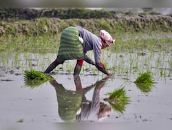 Cabinet Approves PM-Kisan Scheme Extension By 5 Years With Rs 3.15 Outlay