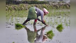 Cabinet Approves PM-Kisan Scheme Extension By 5 Years With Rs 3.15 Outlay