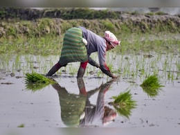 Cabinet Approves PM-Kisan Scheme Extension By 5 Years With Rs 3.15 Outlay