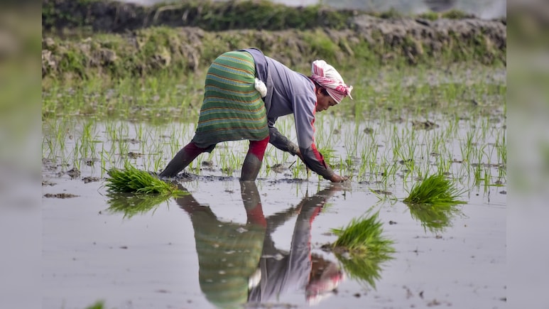 Cabinet Approves PM-Kisan Scheme Extension By 5 Years With Rs 3.15 Outlay