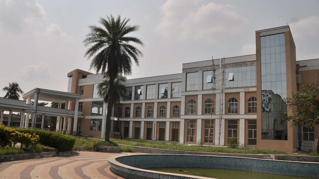 The Art of Baking: From Classic Bread to Artisan Pastries