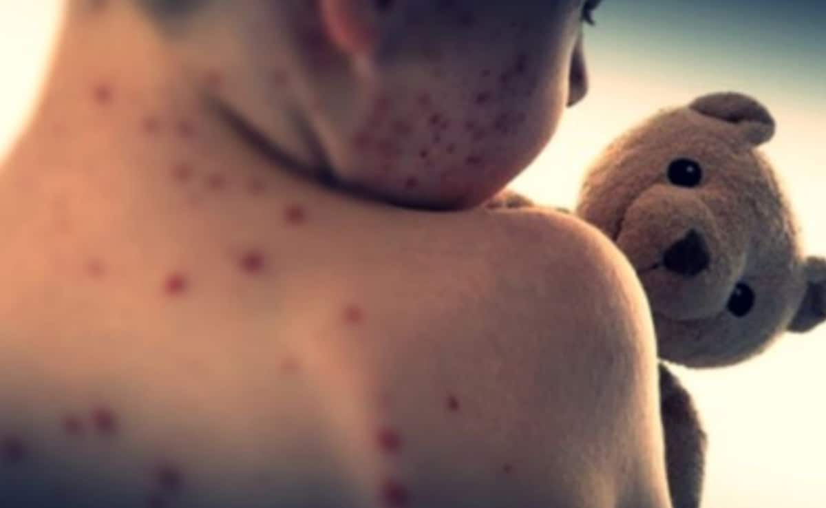 The Art of Baking: From Classic Bread to Artisan Pastries