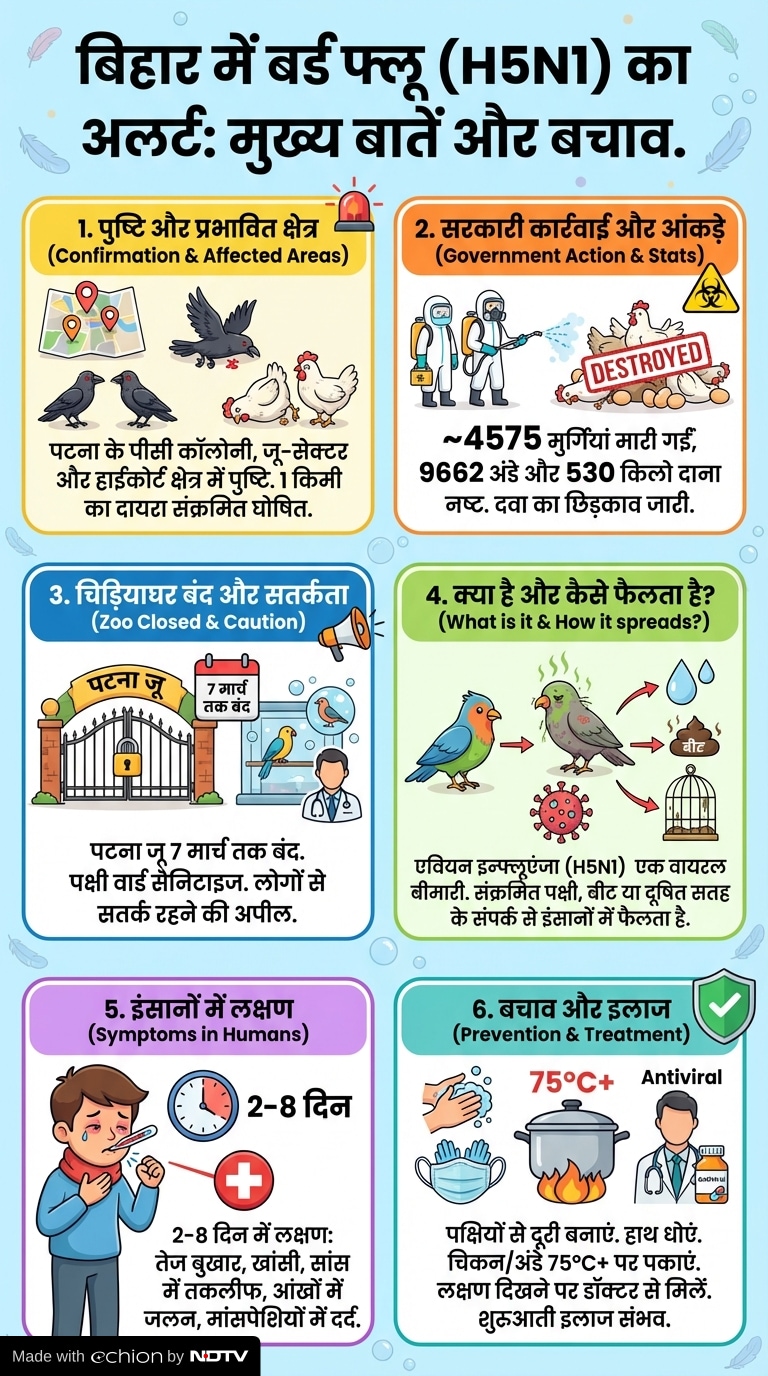 Latest and Breaking News on NDTV